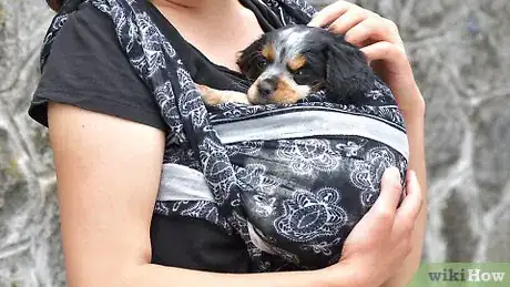 Imagen titulada Carry a Puppy Step 10