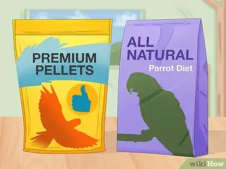 Imagen titulada Feed a Conure Step 1
