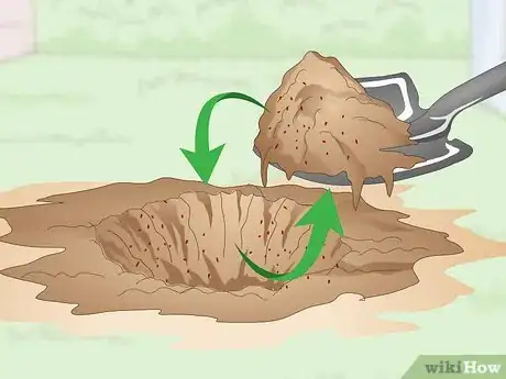 Imagen titulada Get Rid of an Ant Hill Step 16