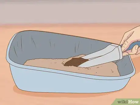 Imagen titulada Get Your House to Not Smell Like Your Pets Step 21