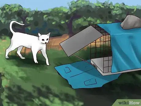 Imagen titulada Trap Cats Step 10