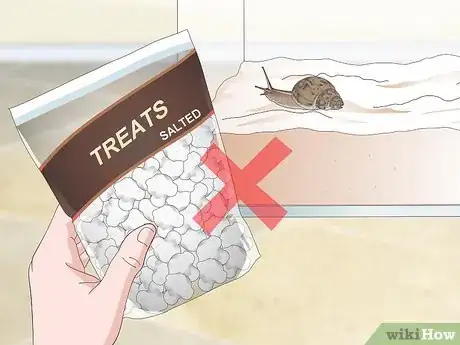 Imagen titulada Feed a Land Snail Step 7