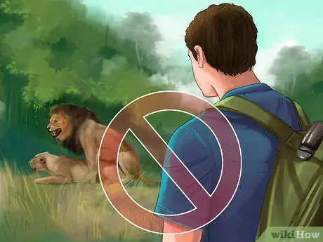 Imagen titulada Survive a Lion Attack Step 9
