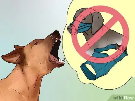 Imagen titulada Stop Your Dog from Barking at Strangers Step 3