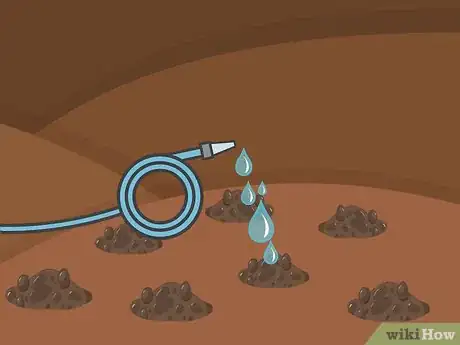 Imagen titulada Plant Narcissus Bulbs Step 12