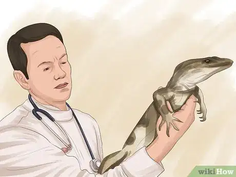 Imagen titulada Treat Reptiles for Vitamin A Deficiency Step 10