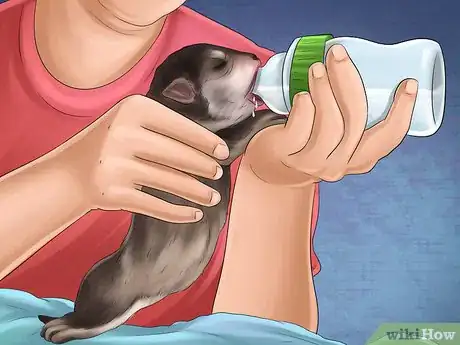 Imagen titulada Help Your Dog After Giving Birth Step 20