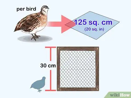 Imagen titulada Build a Quail Habitat Step 2