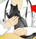 saber si un gato está castrado