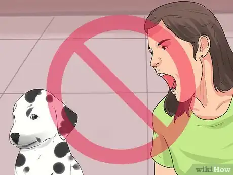 Imagen titulada Train Dalmatians Step 9