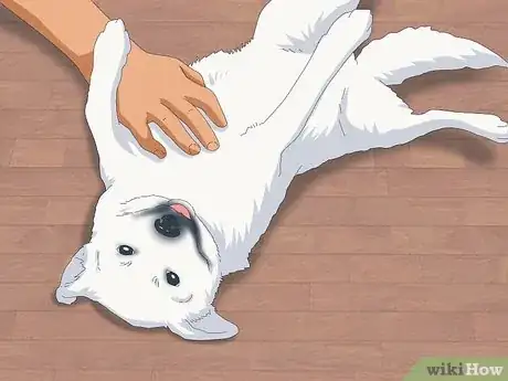 Imagen titulada Pet a Dog Step 12