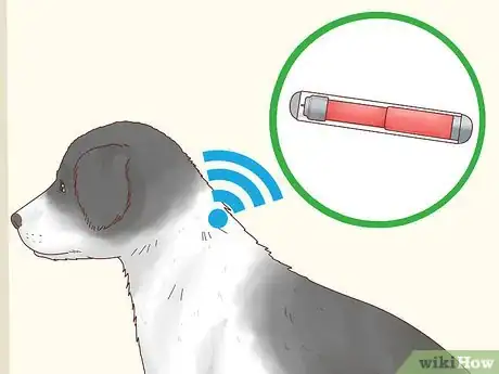 Imagen titulada Care for a Border Collie Step 5