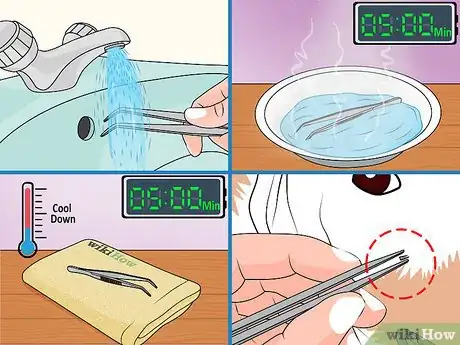 Imagen titulada Remove Porcupine Quills Step 9