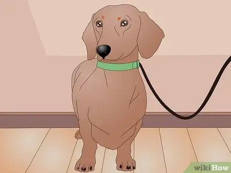 Imagen titulada Make a Dog Coat Step 31