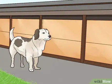 Imagen titulada Stop Your Dog from Barking at Strangers Step 5