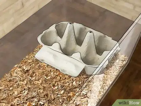Imagen titulada Care for Live Crickets for Reptiles Step 2