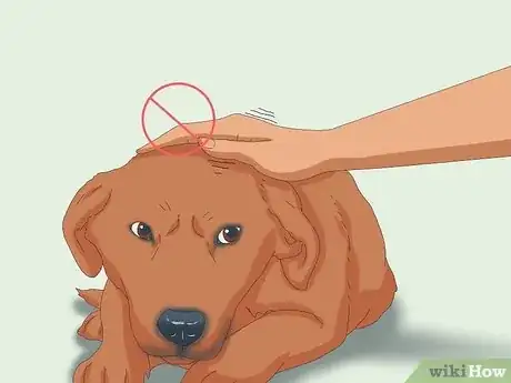 Imagen titulada Pet a Dog Step 11