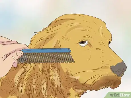 Imagen titulada Get Your House to Not Smell Like Your Pets Step 18