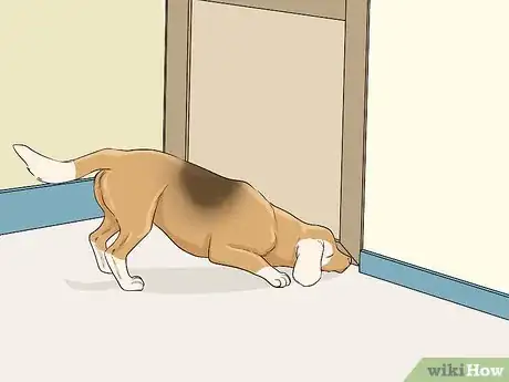 Imagen titulada Introduce a Cat to a Dog Step 3