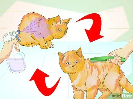 Imagen titulada Make an Herbal Flea Remedy for Cats Step 17