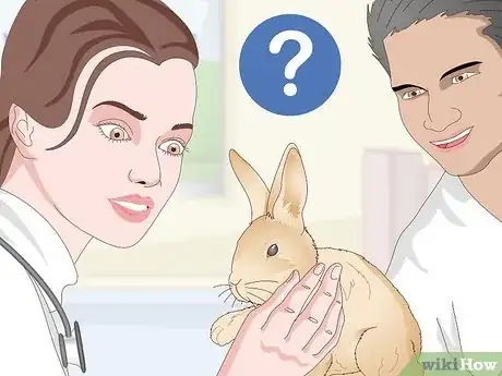 Imagen titulada Determine Whether to Have Your Rabbit Neutered Step 5