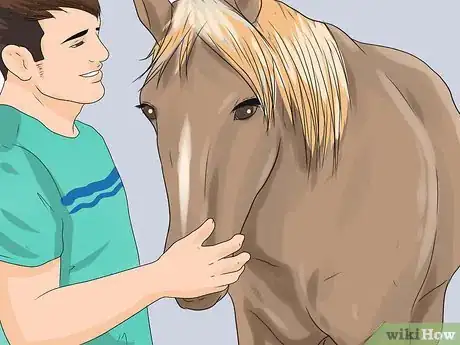 Imagen titulada Approach Your Horse Step 9