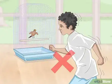 Imagen titulada Bond with Pet Finches Step 2