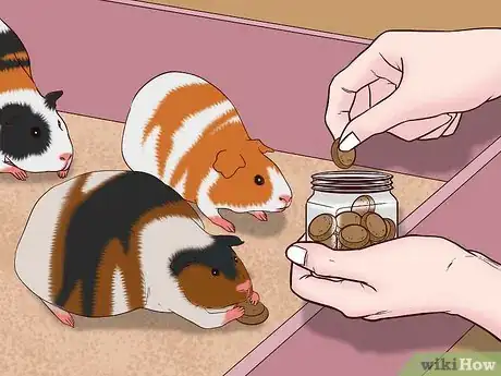 Imagen titulada Care for a Pregnant Guinea Pig Step 21