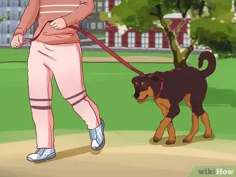Imagen titulada Stop a Dog from Pulling on Its Leash Step 7