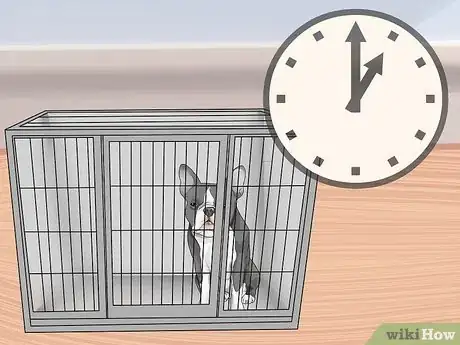 Imagen titulada Train Boston Terriers Step 4