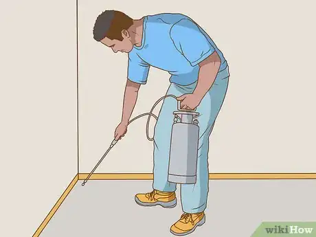 Imagen titulada Get Rid of Sandfleas Step 4