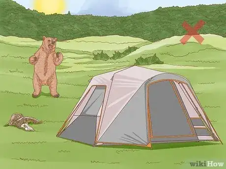 Imagen titulada Keep Bears Away Step 11