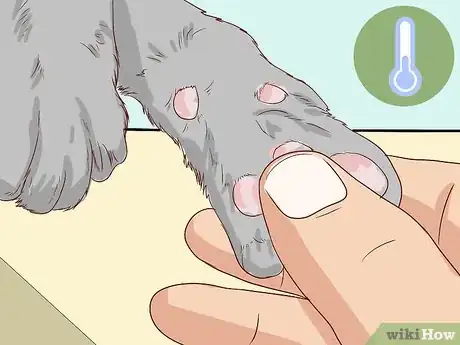 Imagen titulada Check Cats for Dehydration Step 7