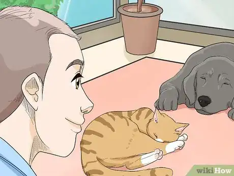 Imagen titulada Introduce a Cat to a Dog Step 9