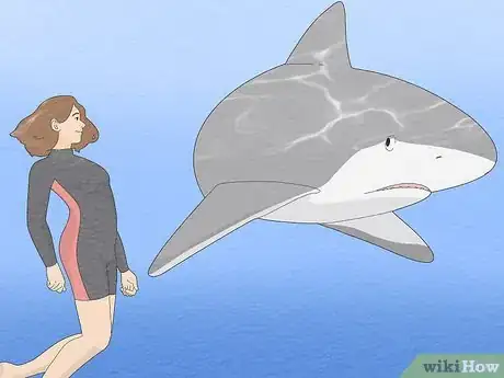 Imagen titulada Get over Your Fear of Sharks Step 2