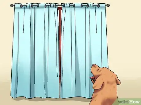 Imagen titulada Train Dogs Not to Bark Step 10
