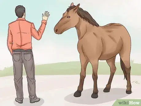 Imagen titulada Talk to Your Horse Step 3