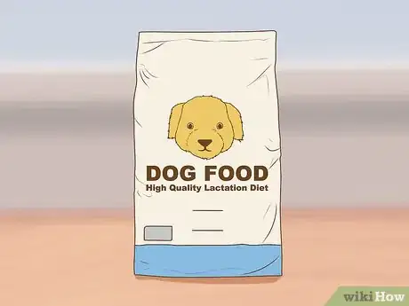 Imagen titulada Encourage a Mother Dog to Feed Her Litter Step 10