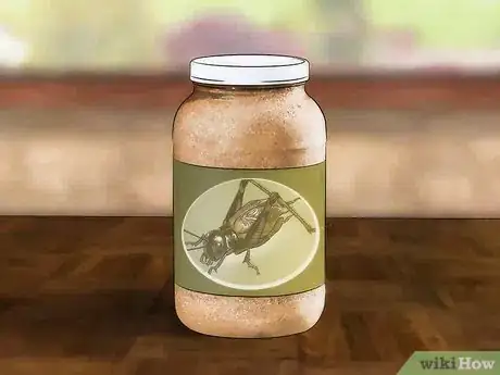 Imagen titulada Care for Live Crickets for Reptiles Step 6