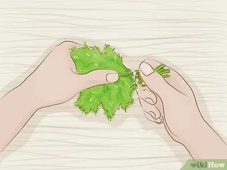 Imagen titulada Use Dill Step 2