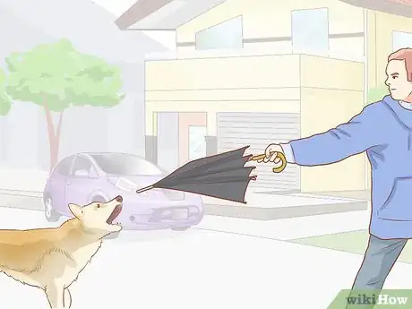 Imagen titulada Fight off a Dog Step 11