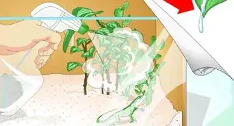 crear un hábitat para una lagartija anolis verde