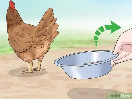 Imagen titulada Keep Owls Away from Chickens Step 2