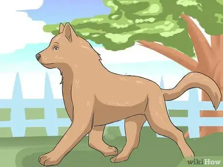 Imagen titulada Eliminate a Flea Infestation in Your Home Step 4