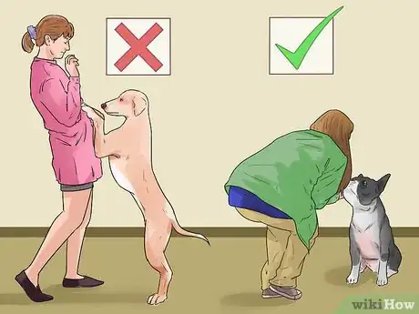 Imagen titulada Deal with Your Annoying Dog Step 5
