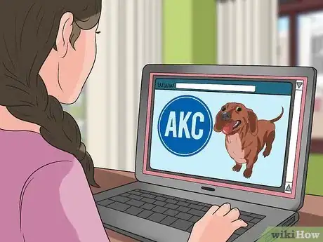 Imagen titulada Breed Dachshunds Step 7