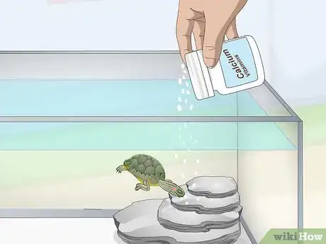 Imagen titulada Feed a Red‐Eared Slider Turtle Step 5