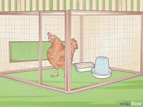 Imagen titulada Prevent Diseases in Chickens Step 5