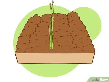 Imagen titulada Plant Asparagus Step 21