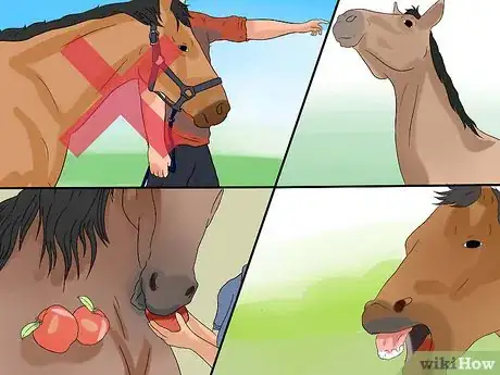Imagen titulada Train a Horse to Respect You Step 3